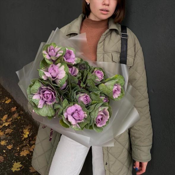 Моно "Брассика purple"
