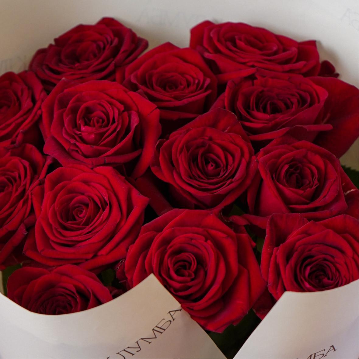 "Ред Наоми" 13 шт