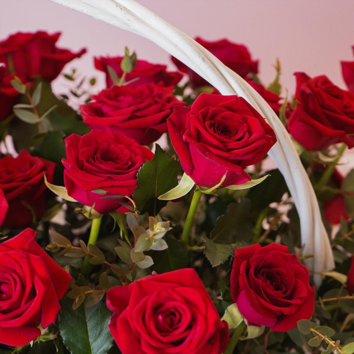 Композиции №2