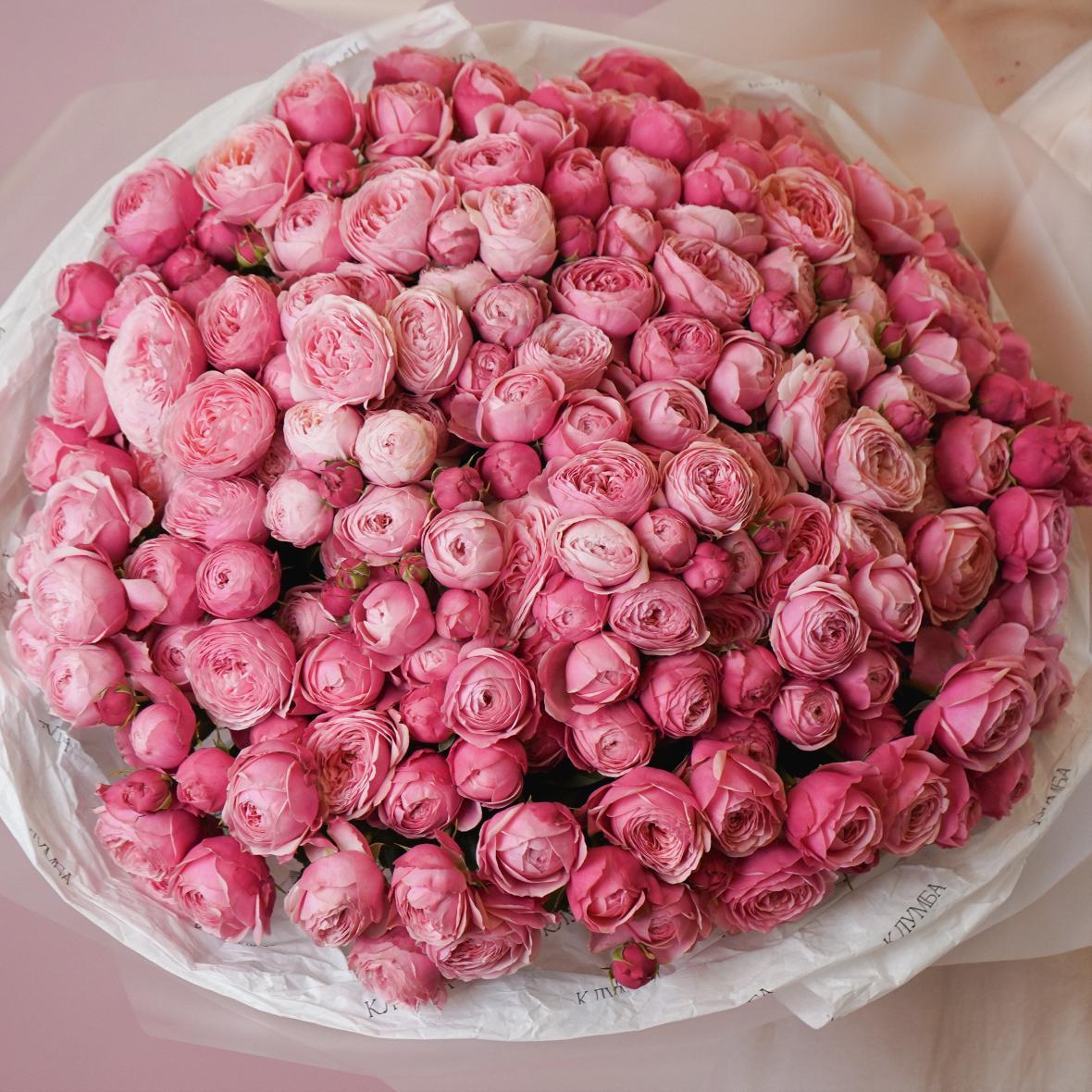 "Сильвия Пинк" 51 шт