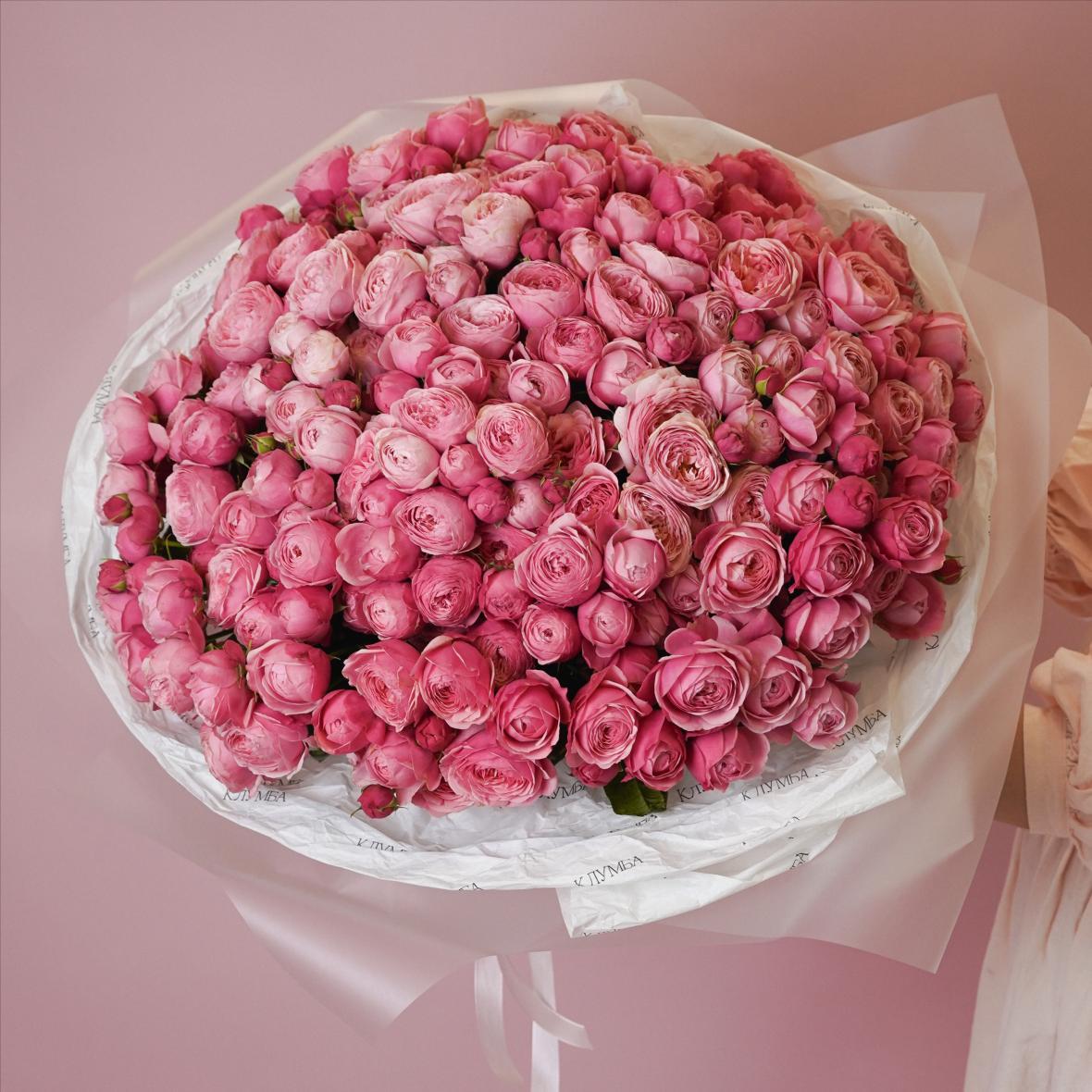 "Сильвия Пинк" 51 шт