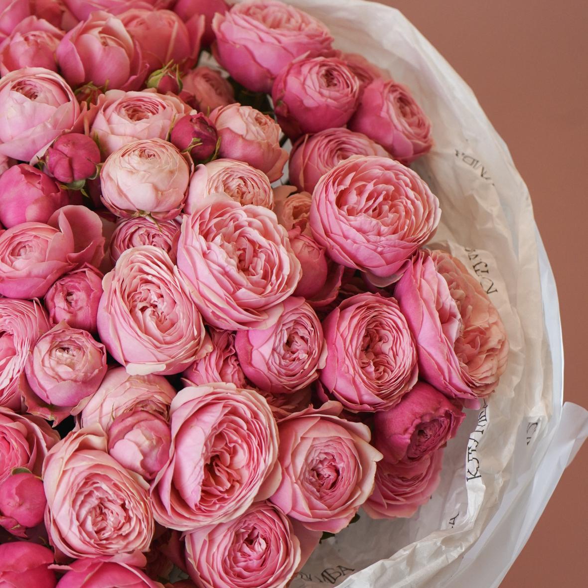 "Сильвия Пинк" 25 шт