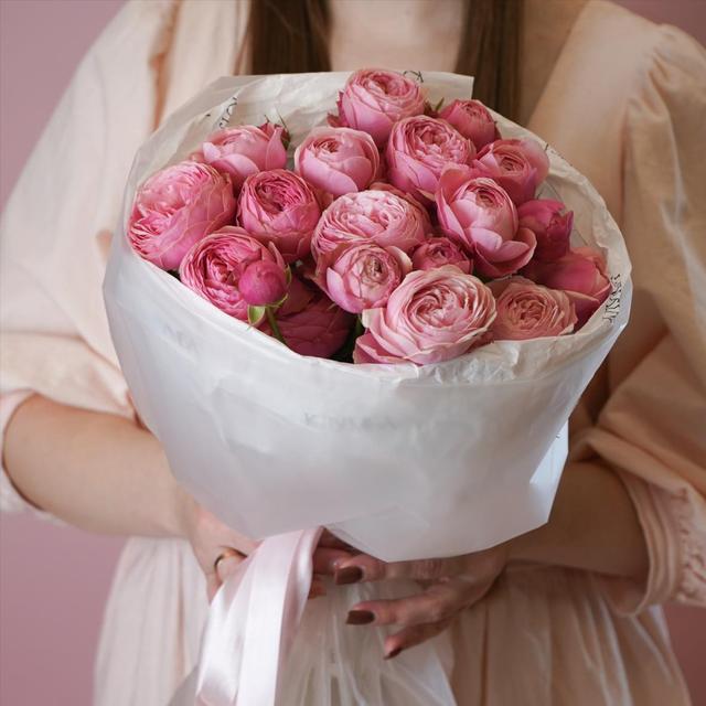 "Сильвия Пинк" 5 шт