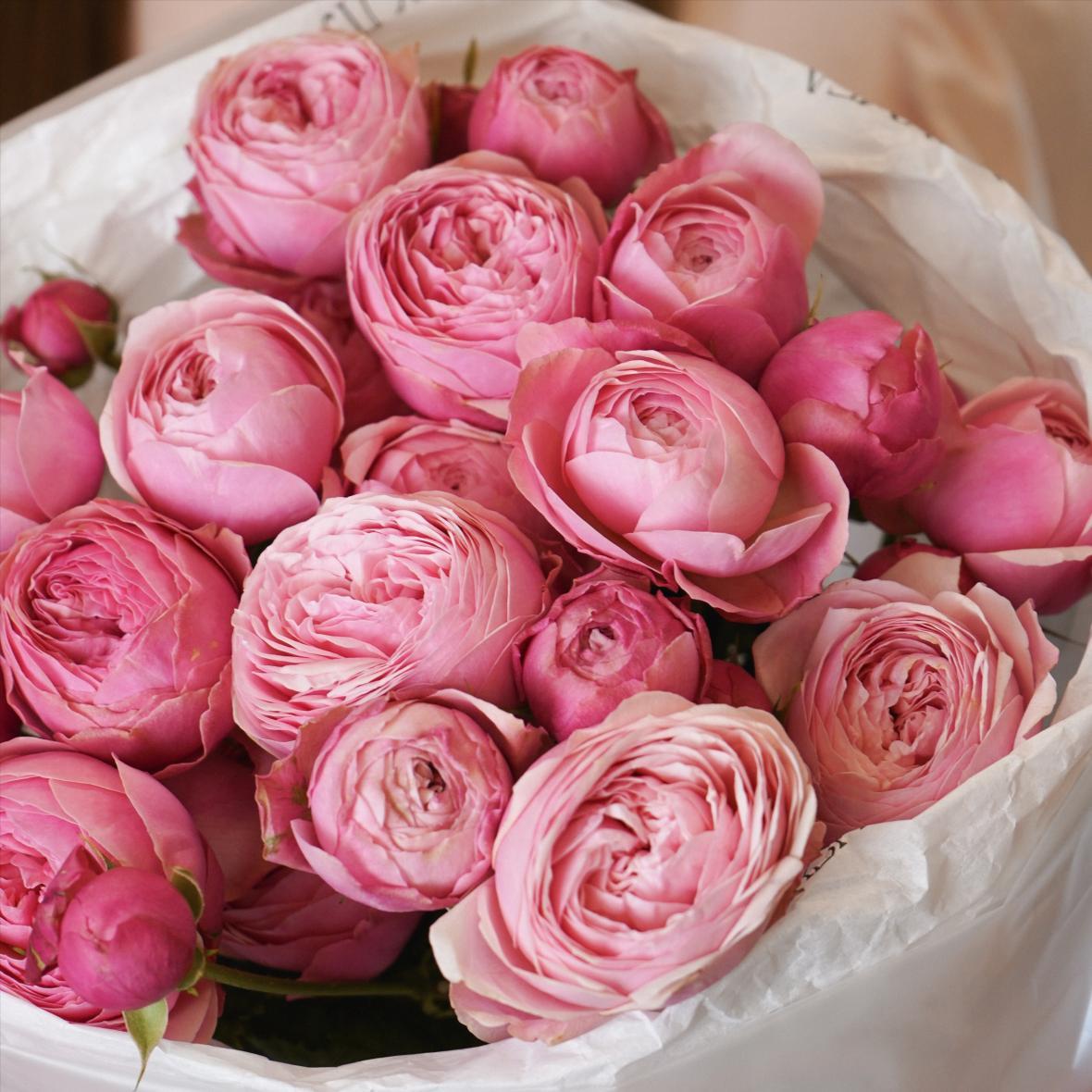 "Сильвия Пинк" 5 шт