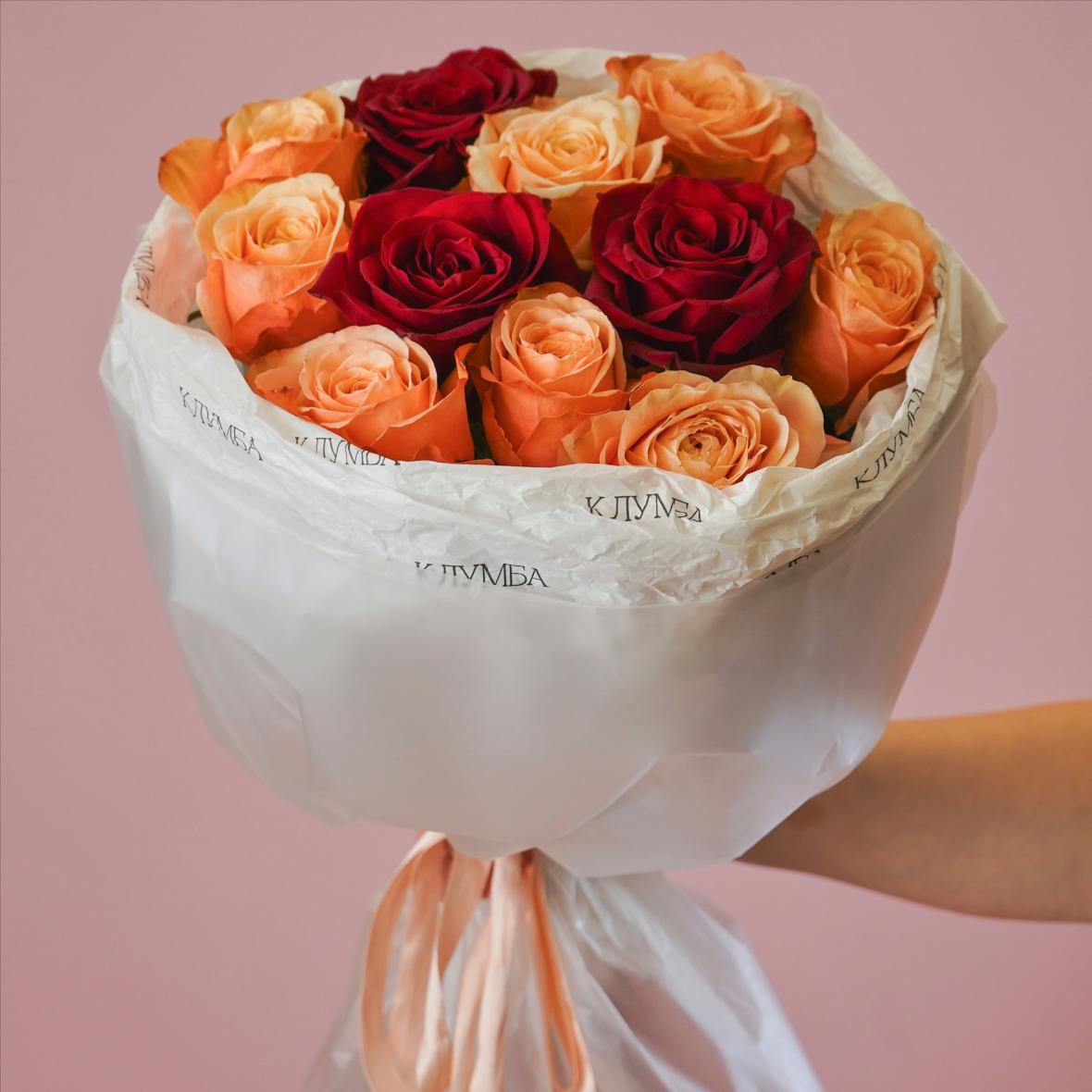 "Кахала и Эксплорер" 11 шт