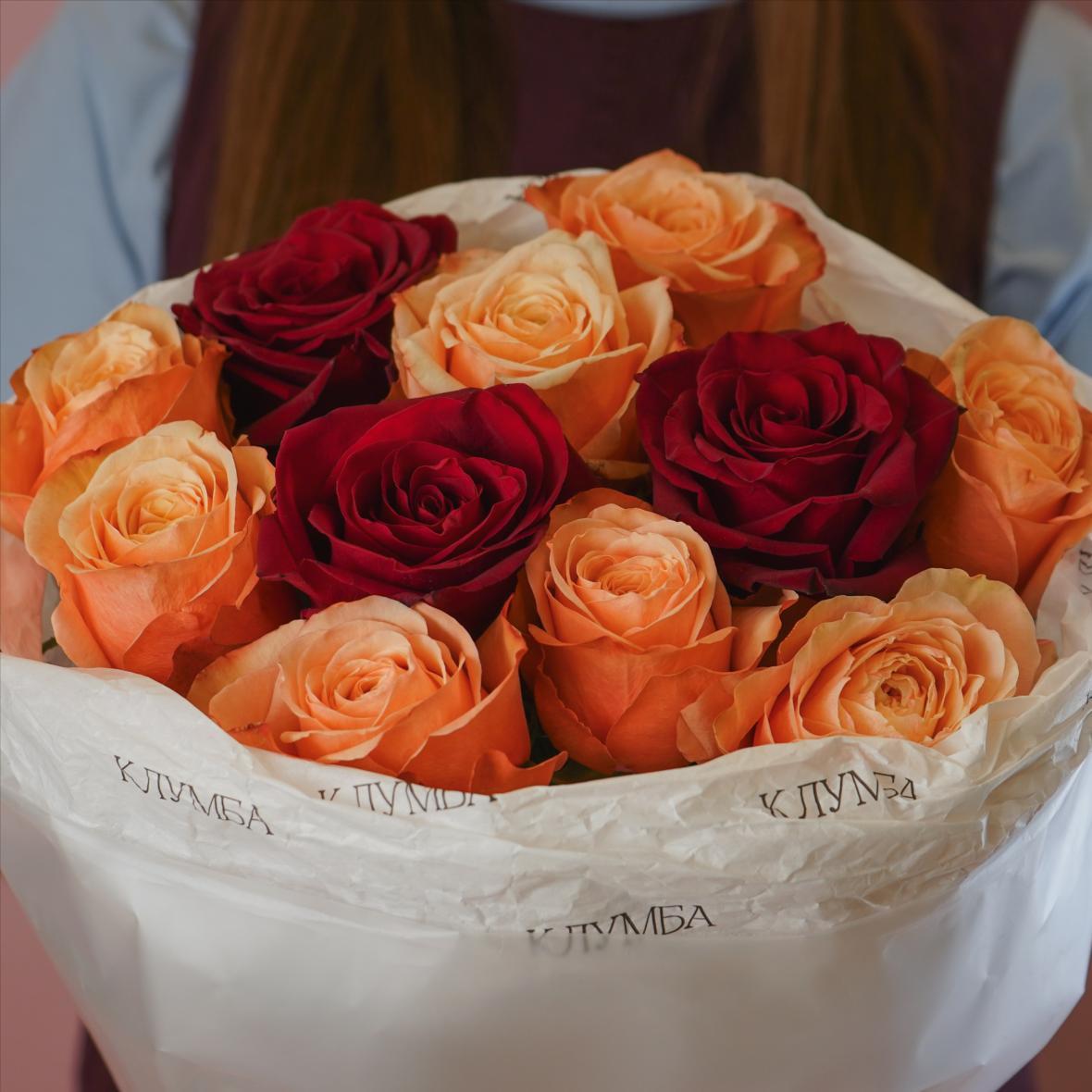 "Кахала и Эксплорер" 11 шт