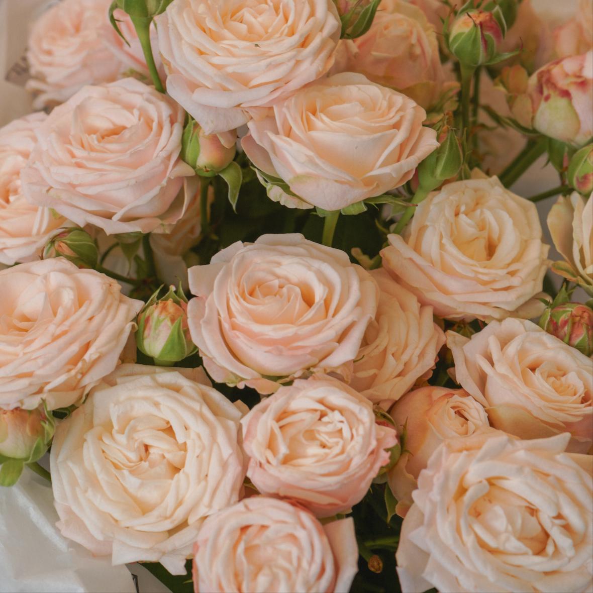 "Бомбастик" 5 шт