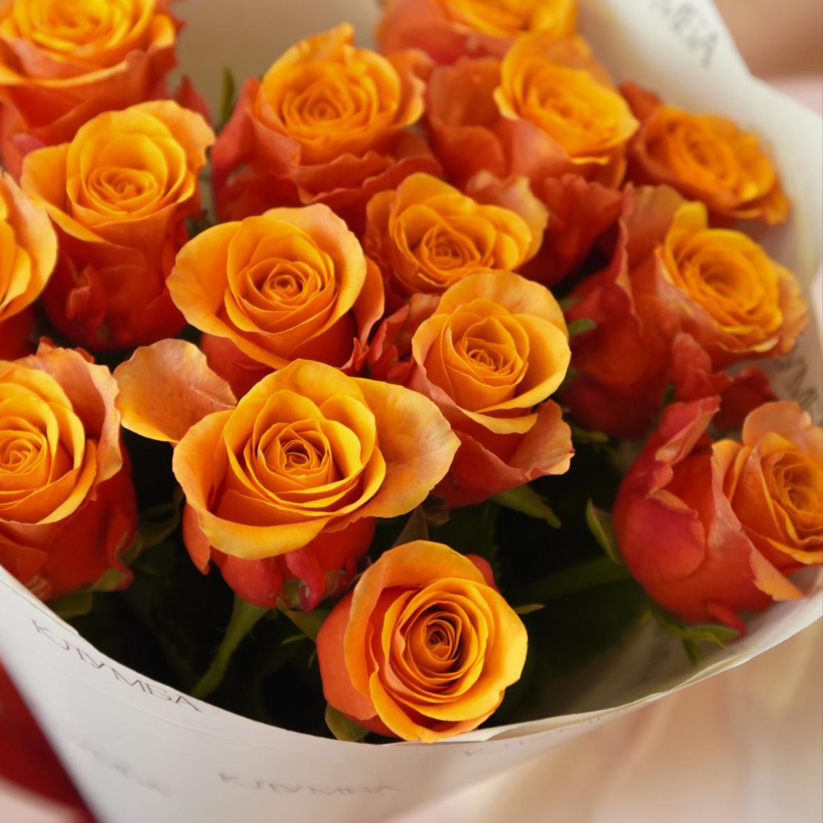 "Испания" 15 шт