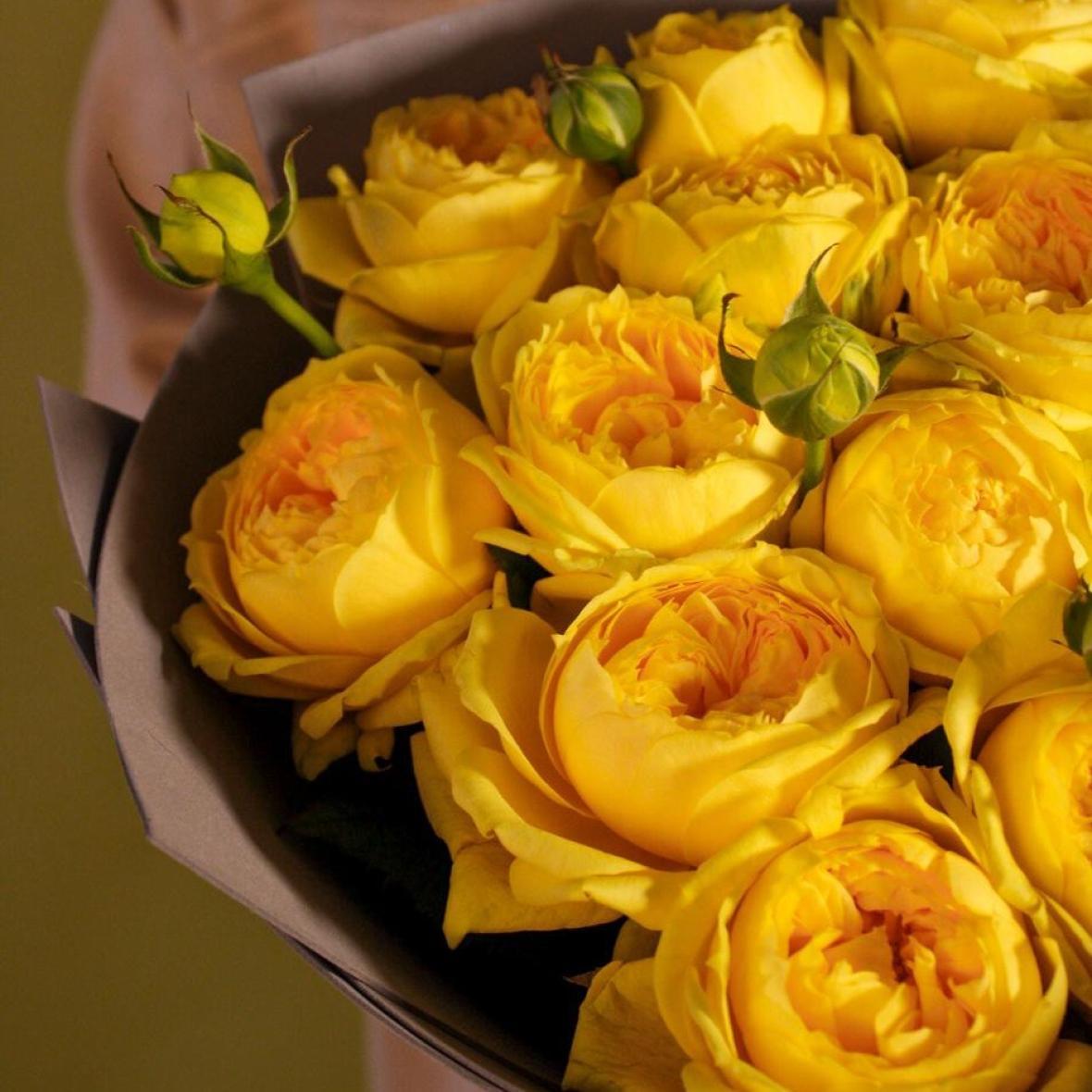 «Каталина» 15 шт