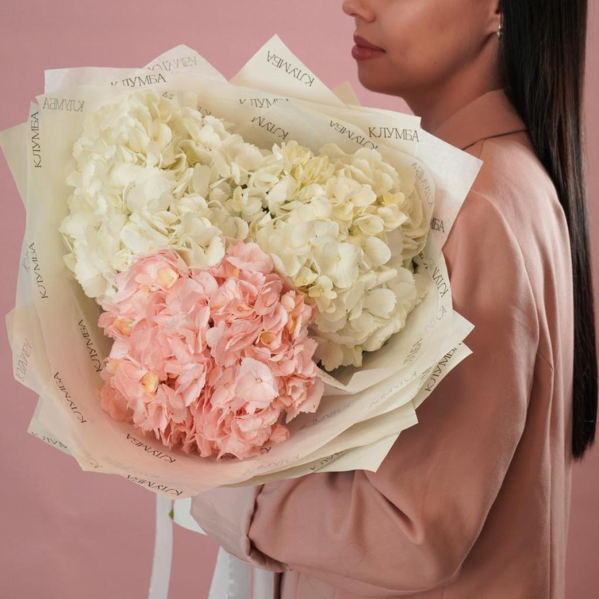 Гортензии, 3 шт