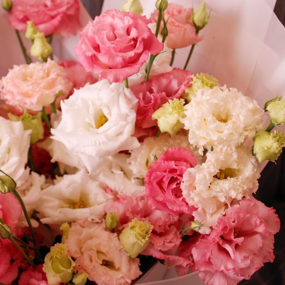 Махровая эустома, 15 шт