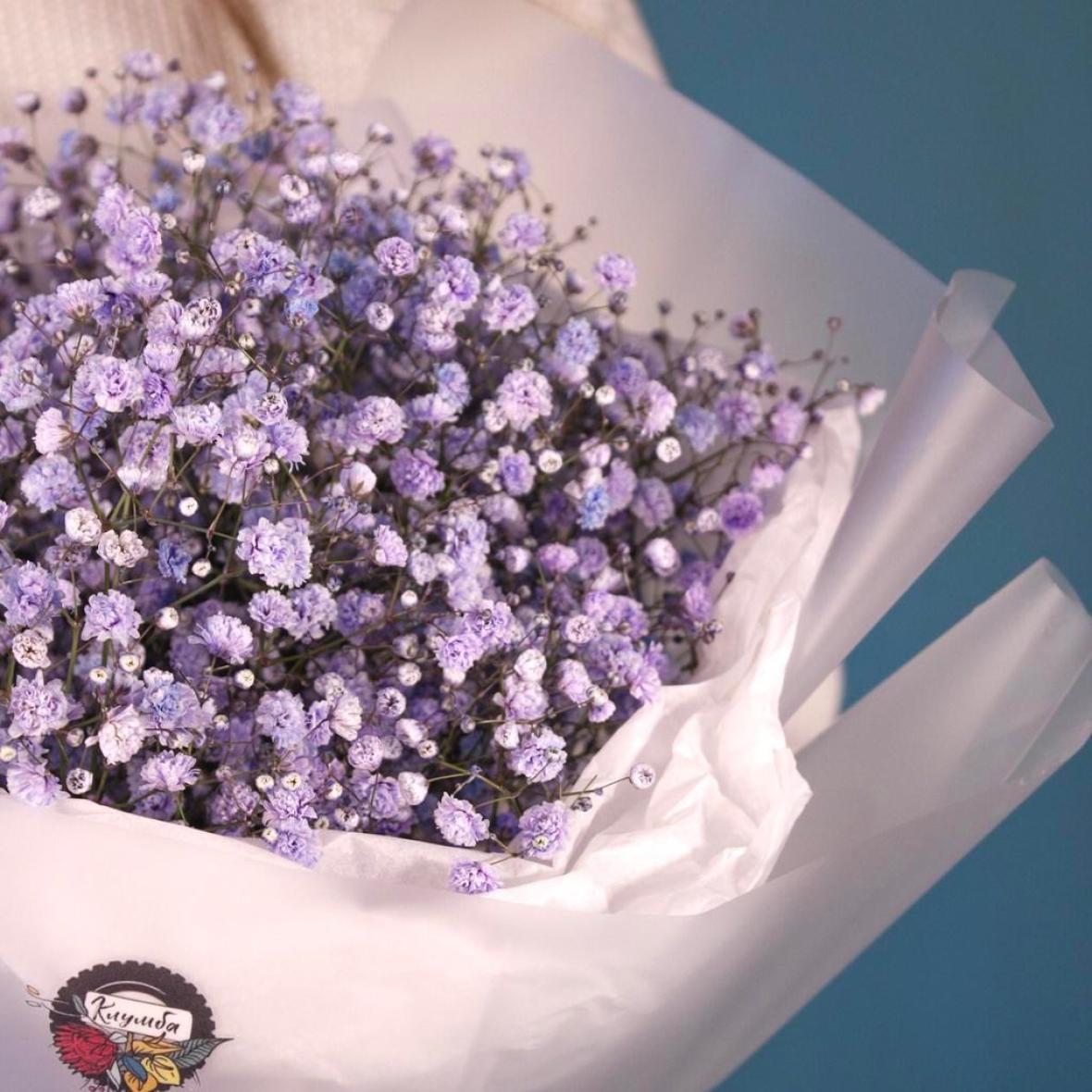 Фиолетовая гипсофила, 7 шт