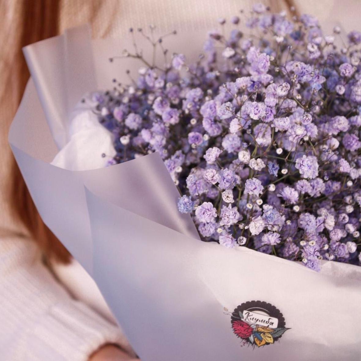 Фиолетовая гипсофила, 7 шт