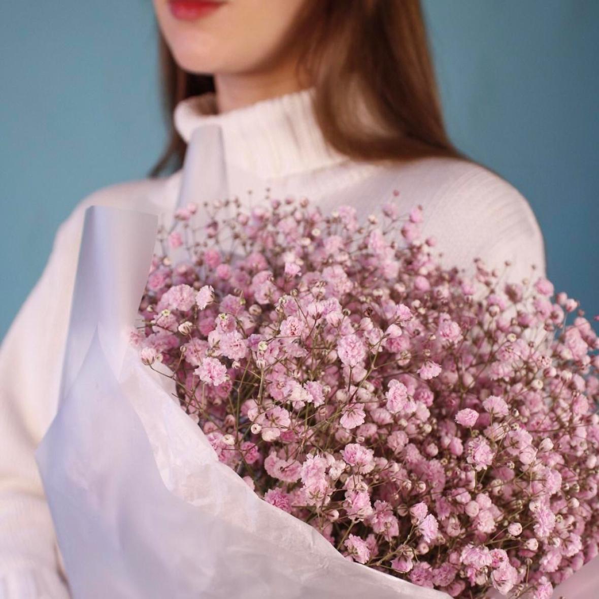 Розовая гипсофила, 7 шт