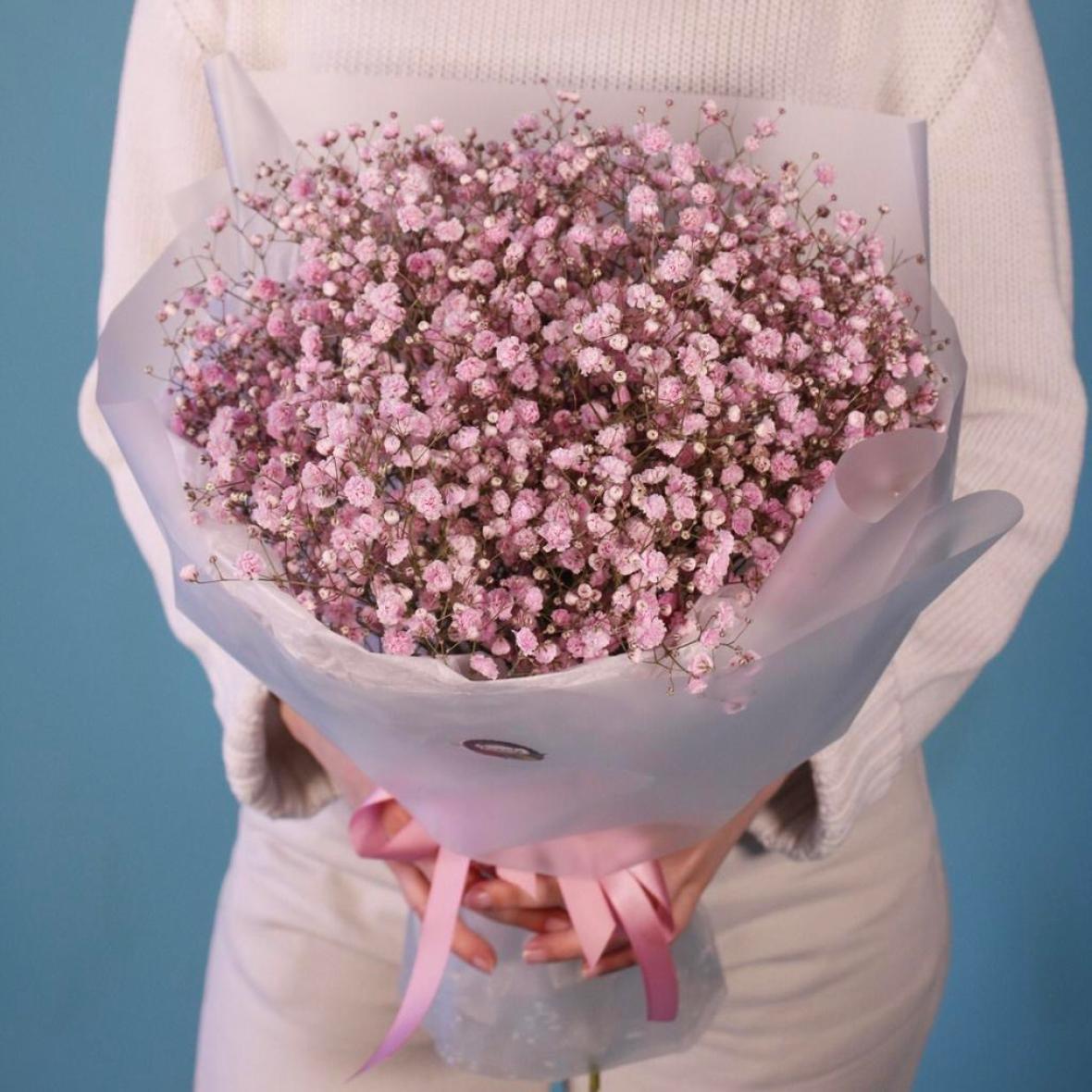 Розовая гипсофила, 7 шт