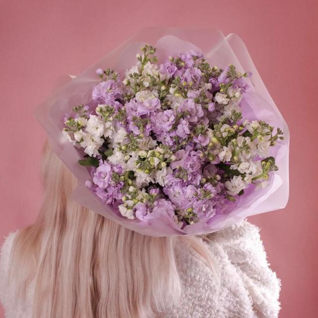 Маттиола mix, 15 шт