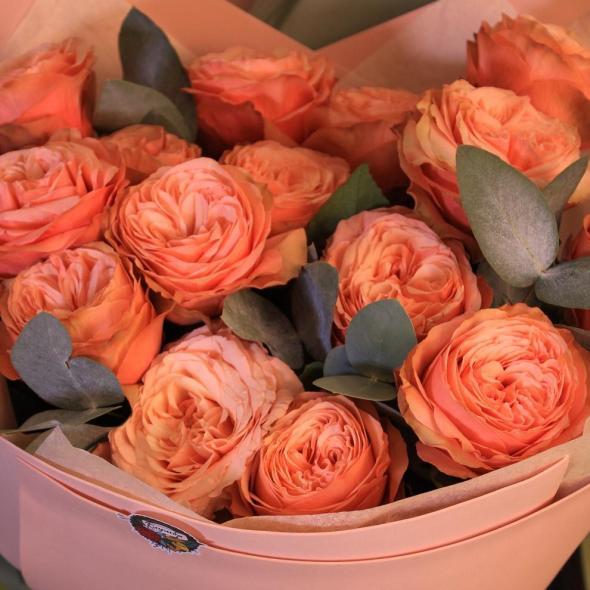 Моно «Kahala с эвкалиптом» 15 шт