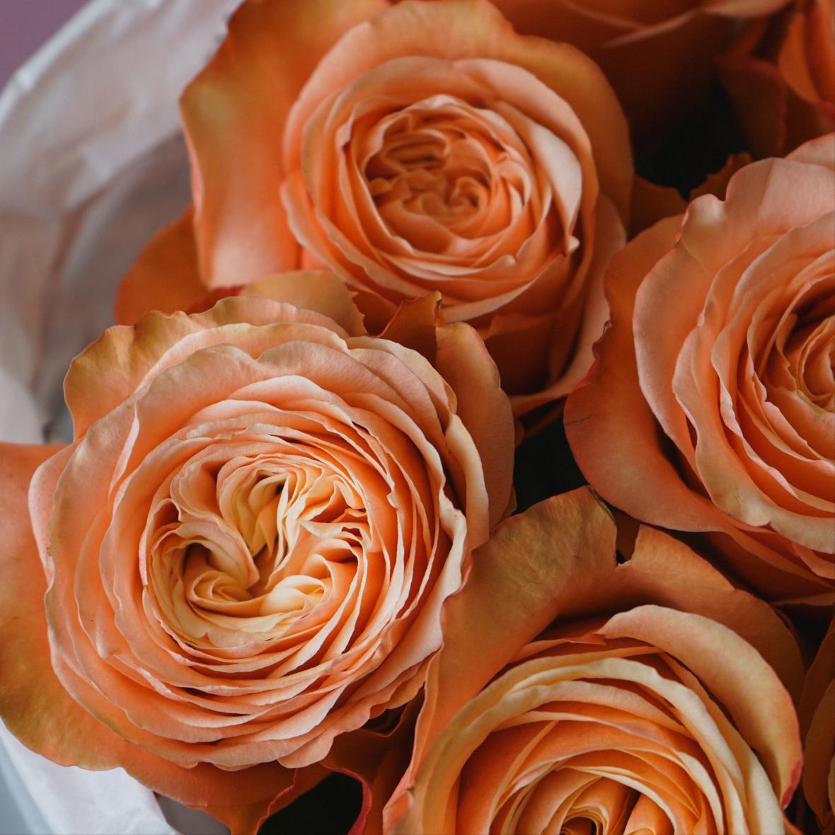 "Кахала" 9 шт