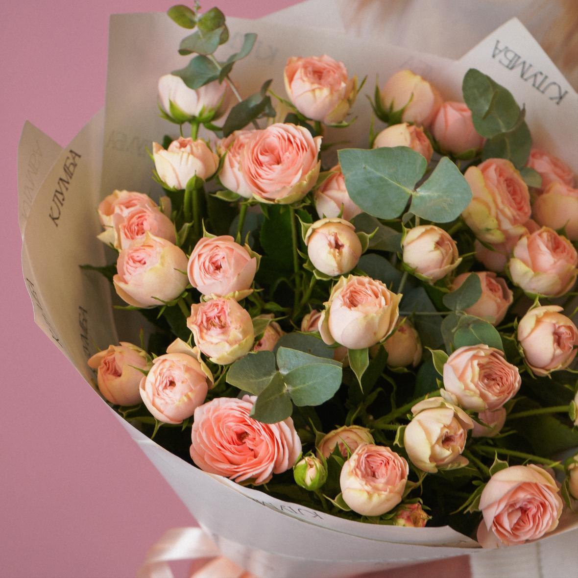 "Кэтти" 11 шт