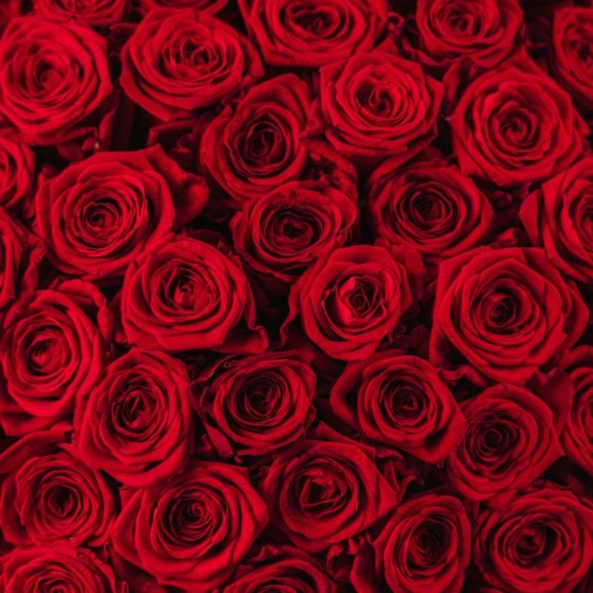 «Ред Наоми» 101 шт