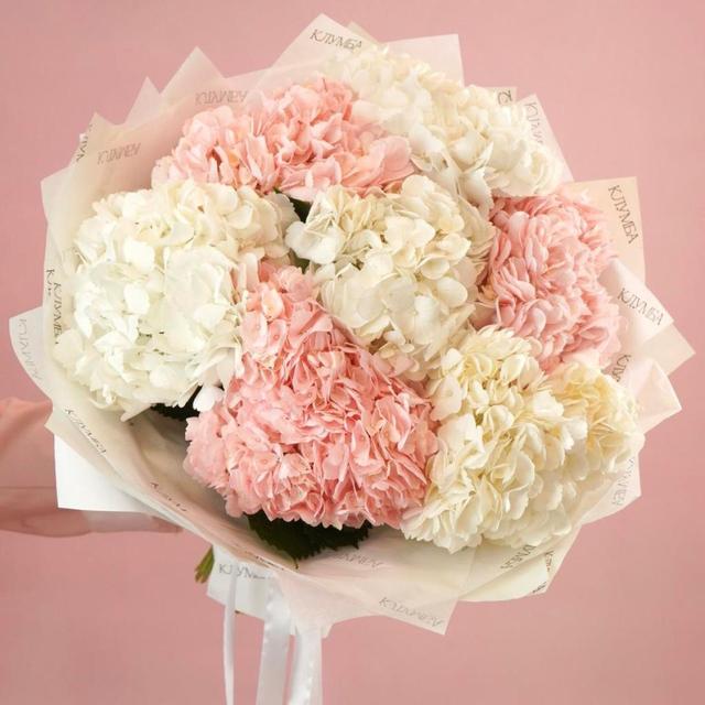 Гортензии, 7 шт Гортензии, 7 шт