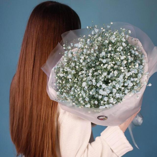 Голубая гипсофила, 7 шт Голубая гипсофила, 7 шт