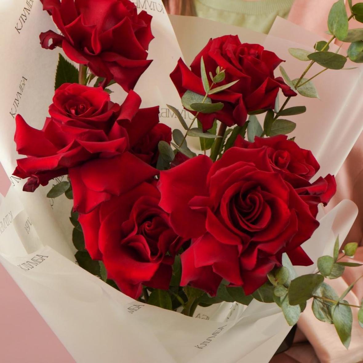 Эксплорер, 7 шт