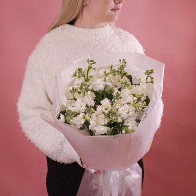 Белая маттиола, 5 шт Белая маттиола, 5 шт