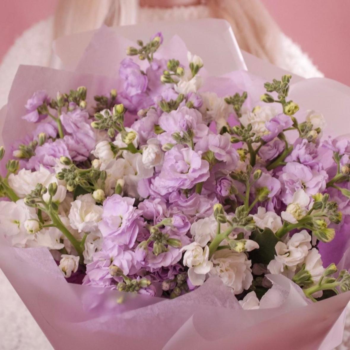 Маттиола mix, 9 шт